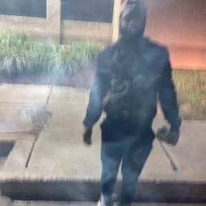 Meet your Posher, Domer